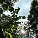 Im Haus Waldstueck Апартаменты *